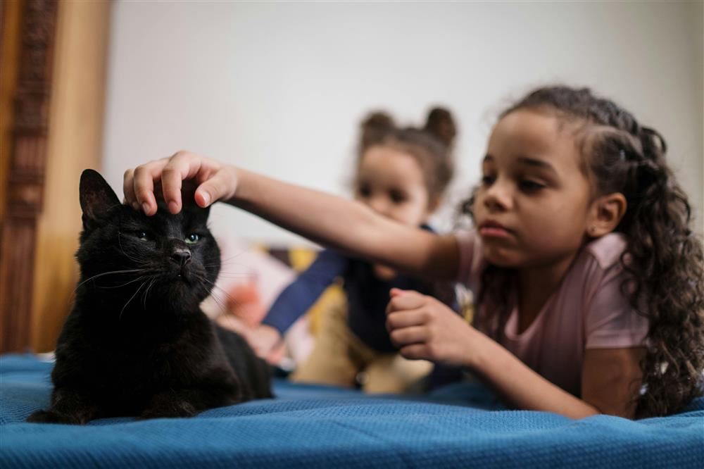  child petting black cat 